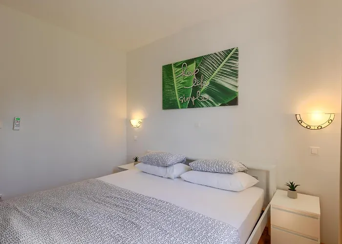 Angeli オパティヤ